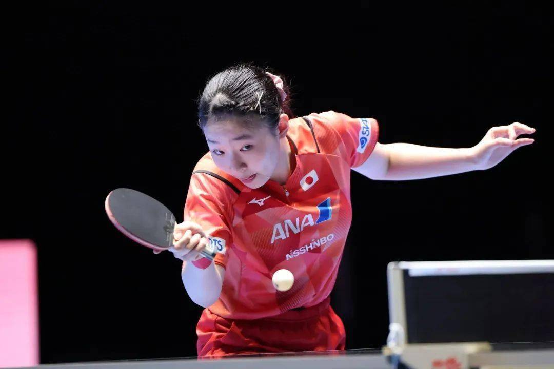 供了丰富的 供了丰富的